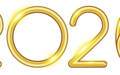 2025 Book Report and 2026 Plans